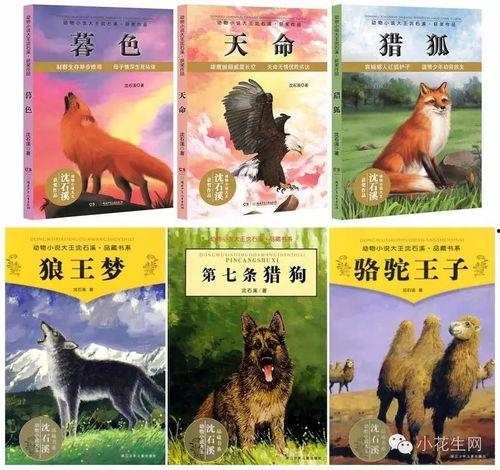 动物吃瓜后续小说,动物们的奇幻食旅 第3张 动物吃瓜后续小说,动物们的奇幻食旅 第3张